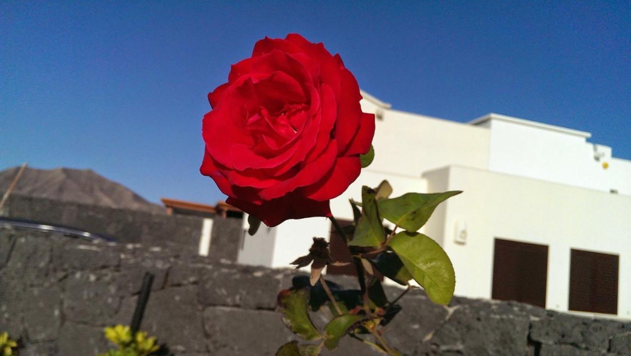 Villa Celeste Playa Blanca (Lanzarote) Exterior foto